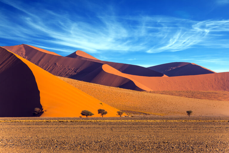 The,Namib-naukluft,Park,At,Sunset.,Sharp,Border,Of,Light,And